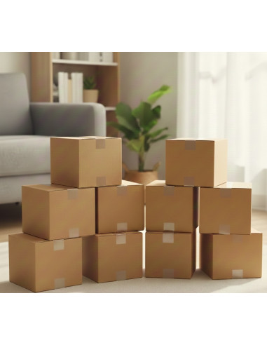 25 Cajas de Cartón Corrugado 27.4x 20.5x20.6 cm