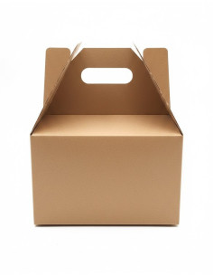 Paquete 15 Cajas de Cartón Corrugado Plegadiza con Asa 25x25x16
