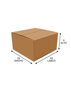 Paquete de 25 Cajas de Cartón Corrugado 22x22x11cm